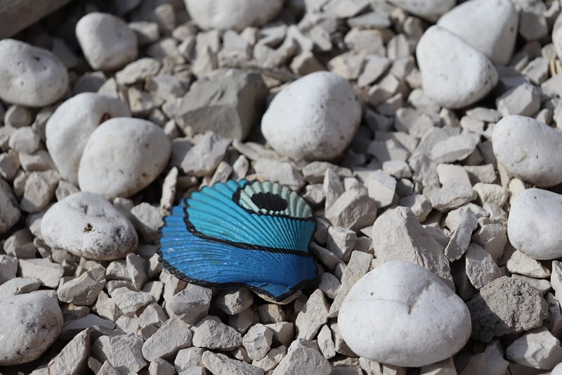 Upcycled Accessories